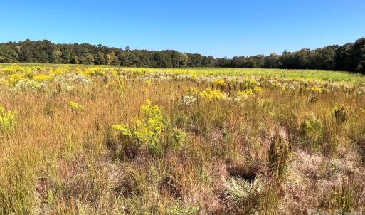 Photo #18 of 2127 Cull Williams, Indian Trail, NC
