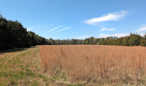Photo #9 of Tract 23 Hwy 72, Rock Hill, SC
