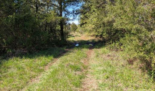 Photo #6 of Tract 23 Hwy 72, Rock Hill, SC