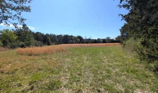 Photo #16 of Tract 23 Hwy 72, Rock Hill, SC