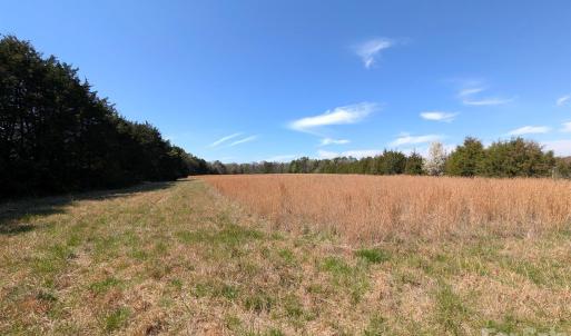 Photo #11 of Tract 23 Hwy 72, Rock Hill, SC