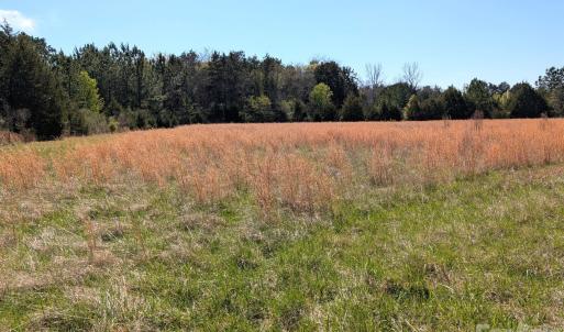 Photo #19 of Tract 23 Hwy 72, Rock Hill, SC