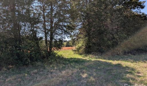 Photo #30 of Tract 23 Hwy 72, Rock Hill, SC