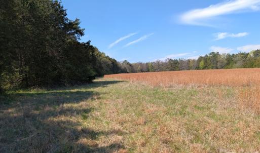 Photo #31 of Tract 23 Hwy 72, Rock Hill, SC