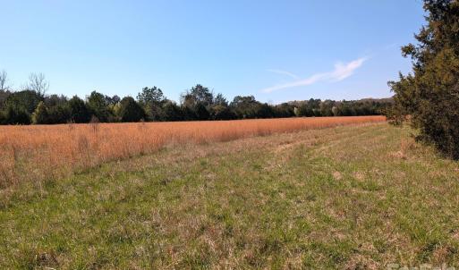 Photo #18 of Tract 23 Hwy 72, Rock Hill, SC