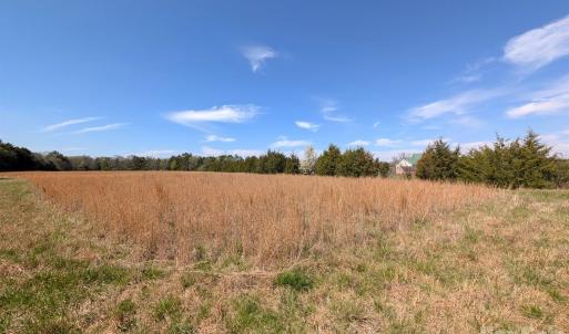 Photo #12 of Tract 23 Hwy 72, Rock Hill, SC