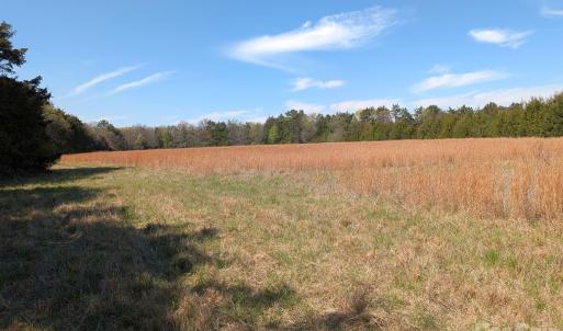 Photo #14 of Tract 23 Hwy 72, Rock Hill, SC