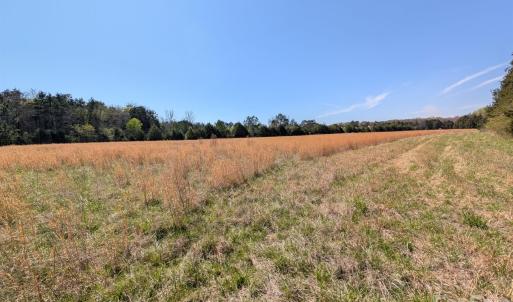 Photo #21 of Tract 23 Hwy 72, Rock Hill, SC