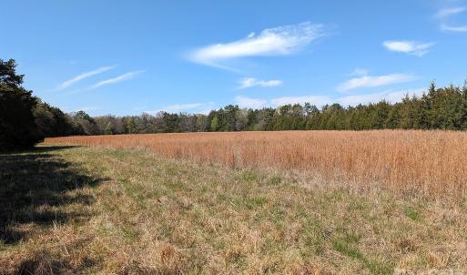 Photo #10 of Tract 23 Hwy 72, Rock Hill, SC