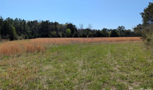 Photo #17 of Tract 23 Hwy 72, Rock Hill, SC