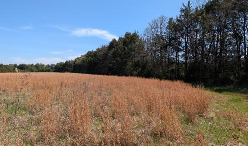 Photo #36 of Tract 23 Hwy 72, Rock Hill, SC