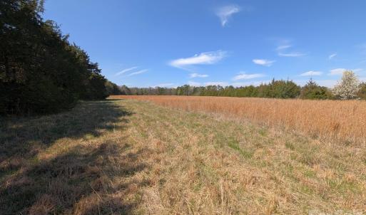 Photo #14 of Tract 23 Hwy 72, Rock Hill, SC