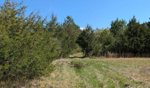 Photo #44 of Tract 23 Hwy 72, Rock Hill, SC