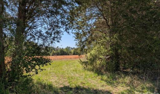Photo #16 of Tract 23 Hwy 72, Rock Hill, SC