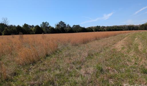 Photo #21 of Tract 23 Hwy 72, Rock Hill, SC