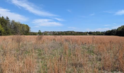 Photo #36 of Tract 23 Hwy 72, Rock Hill, SC