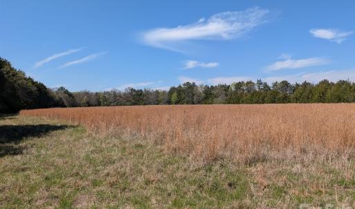 Photo #29 of Tract 23 Hwy 72, Rock Hill, SC