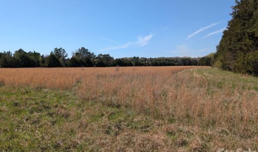 Photo #24 of Tract 23 Hwy 72, Rock Hill, SC