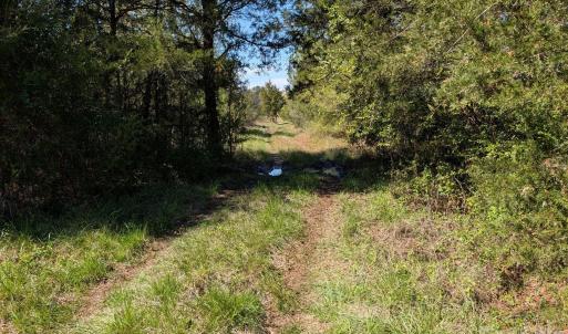 Photo #8 of Tract 23 Hwy 72, Rock Hill, SC