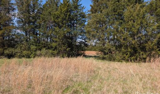 Photo #25 of Tract 23 Hwy 72, Rock Hill, SC