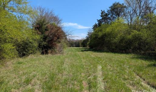 Photo #6 of Tract 23 Hwy 72, Rock Hill, SC