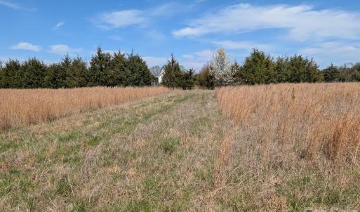 Photo #30 of Tract 23 Hwy 72, Rock Hill, SC