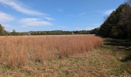 Photo #40 of Tract 23 Hwy 72, Rock Hill, SC