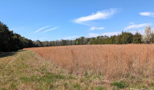 Photo #2 of Tract 23 Hwy 72, Rock Hill, SC