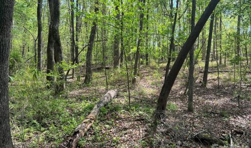 Photo #11 of 623 Mystic Way, Waxhaw, NC