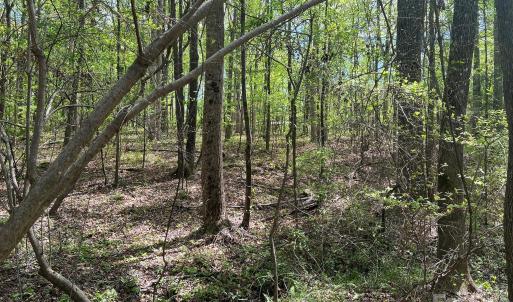 Photo #12 of 623 Mystic Way, Waxhaw, NC