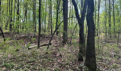 Photo #10 of 623 Mystic Way, Waxhaw, NC