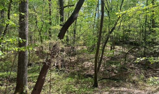 Photo #14 of 623 Mystic Way, Waxhaw, NC