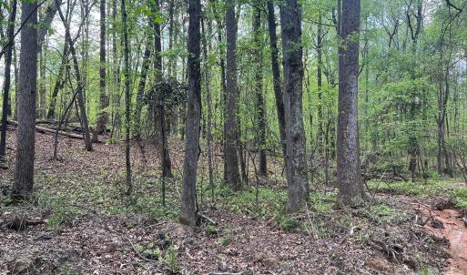 Photo #7 of 623 Mystic Way, Waxhaw, NC