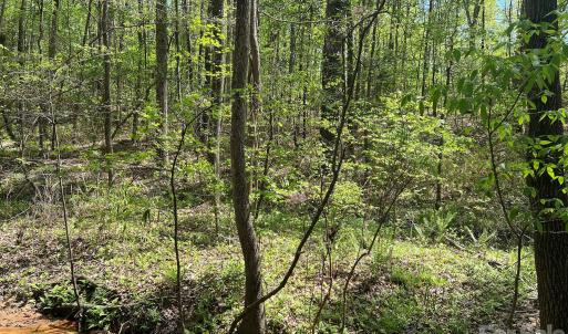 Photo #13 of 623 Mystic Way, Waxhaw, NC