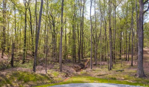 Photo #8 of 623 Mystic Way, Waxhaw, NC