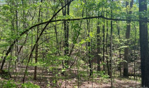 Photo #16 of 623 Mystic Way, Waxhaw, NC