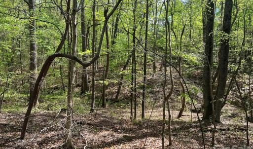 Photo #15 of 623 Mystic Way, Waxhaw, NC