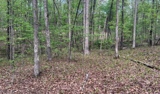 Photo #9 of 623 Mystic Way, Waxhaw, NC