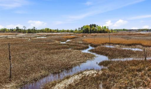 Photo #12 of 1624 Heron View, Wilmington, NC