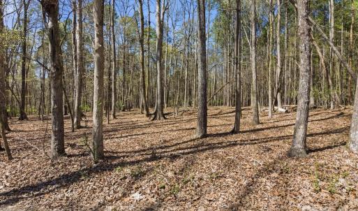 Photo #37 of 3883 Marlette, York, SC