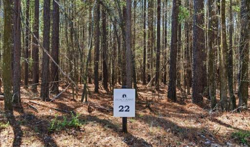 Photo #46 of 3883 Marlette, York, SC