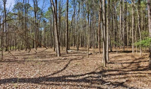 Photo #33 of 3883 Marlette, York, SC