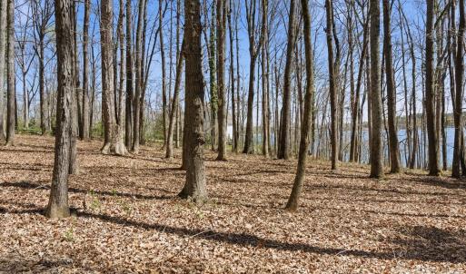 Photo #39 of 3883 Marlette, York, SC