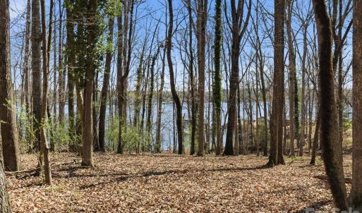 Photo #35 of 3883 Marlette, York, SC