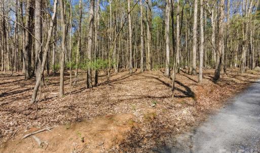 Photo #40 of 3883 Marlette, York, SC