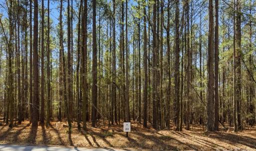 Photo #44 of 3883 Marlette, York, SC