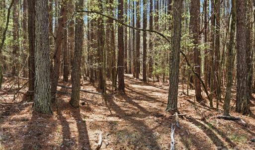 Photo #28 of 3883 Marlette, York, SC
