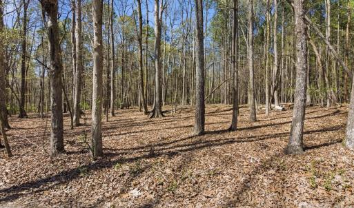 Photo #36 of 3883 Marlette, York, SC