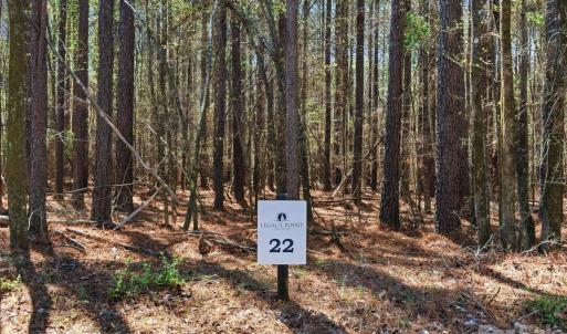 Photo #45 of 3883 Marlette, York, SC