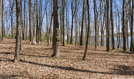 Photo #38 of 3883 Marlette, York, SC